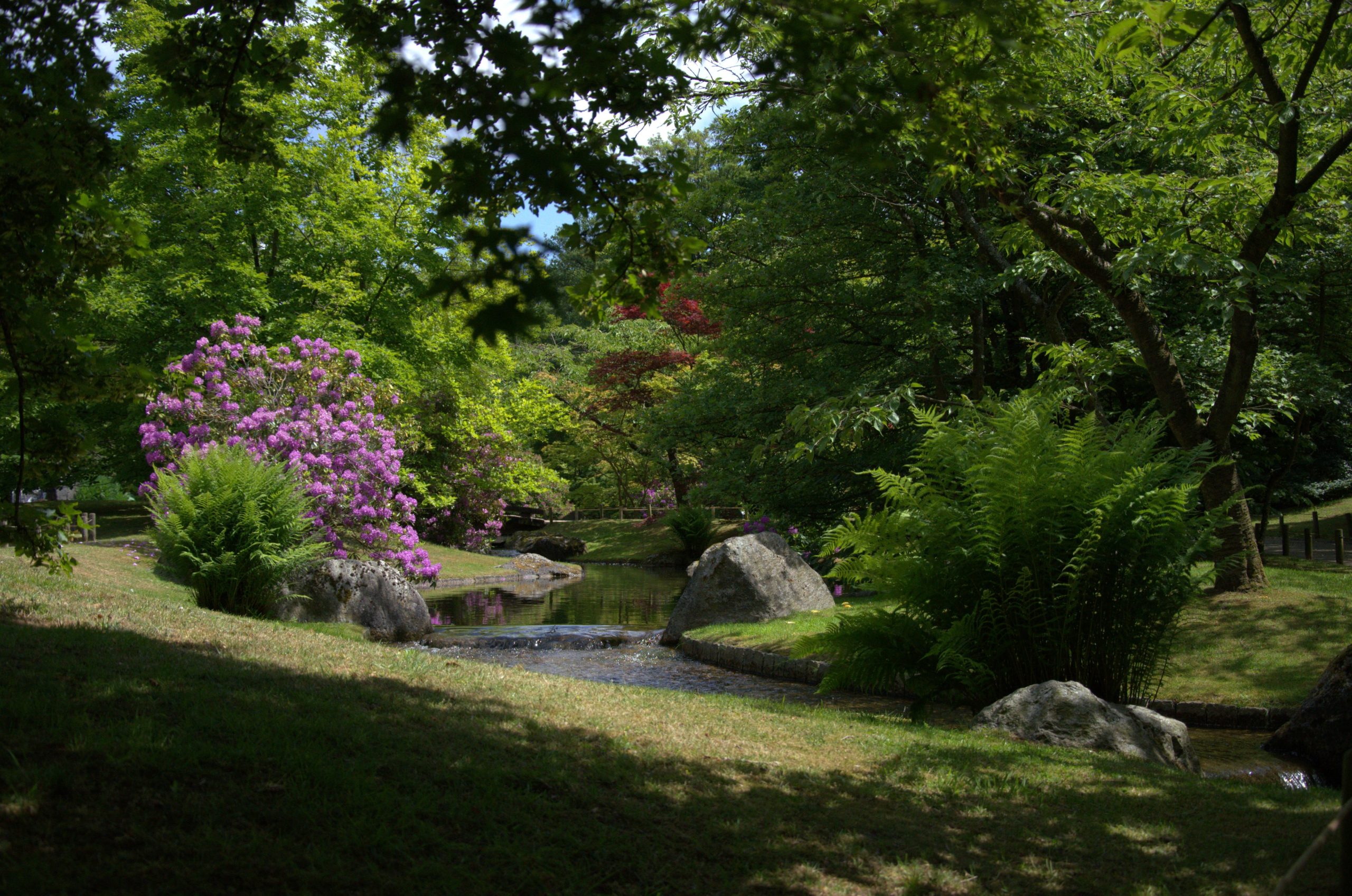Jardin Japonais - Endroit insolite à Hasselt, en Belgique
