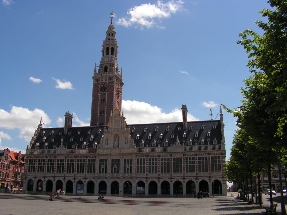 Totem du Scarabée - Louvain, Brabant Flamand