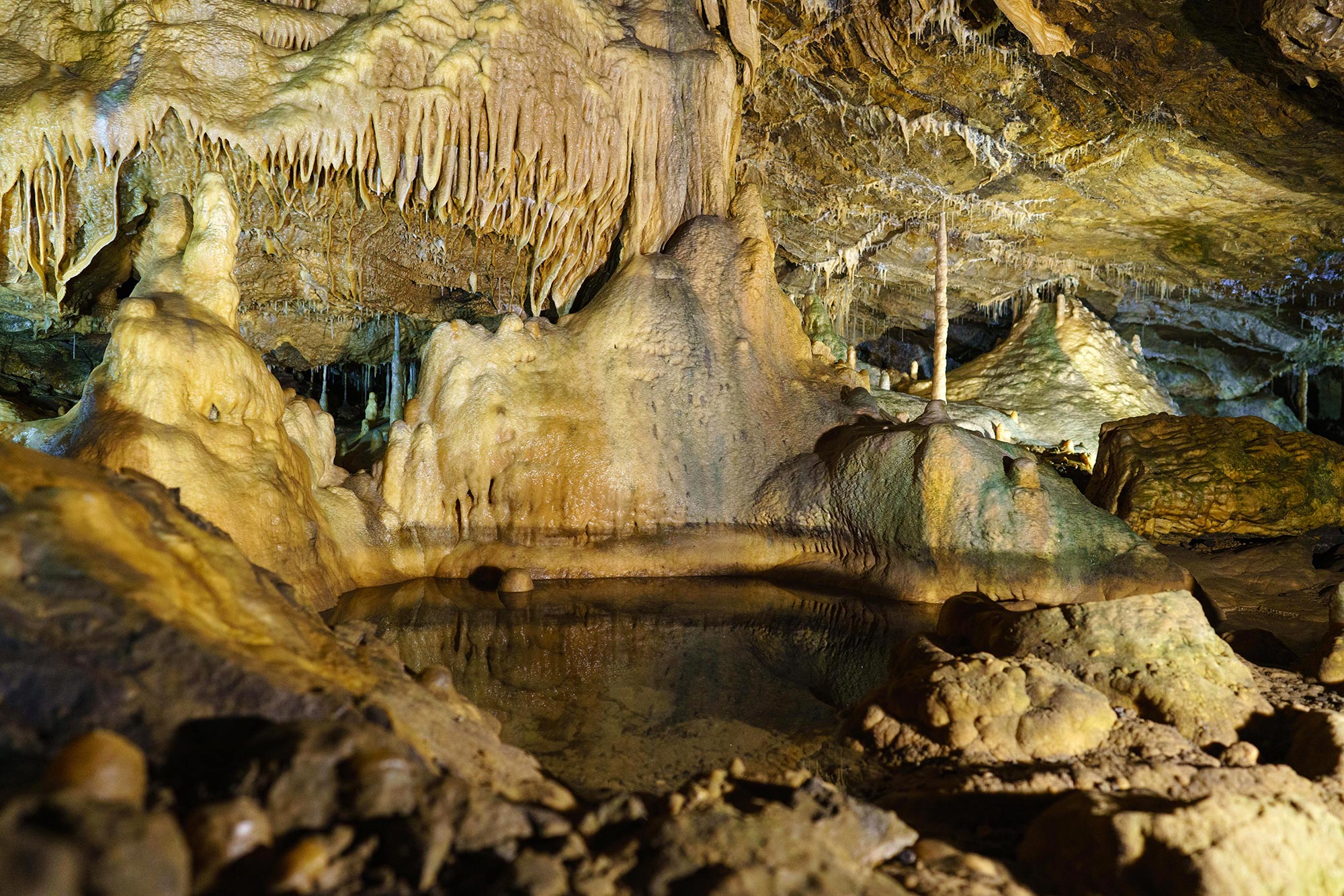 Grottes de Hotton - Endroit insolite à Hotton, en Belgique
