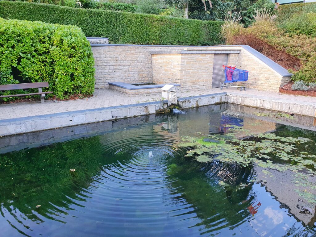 Source de la Semois