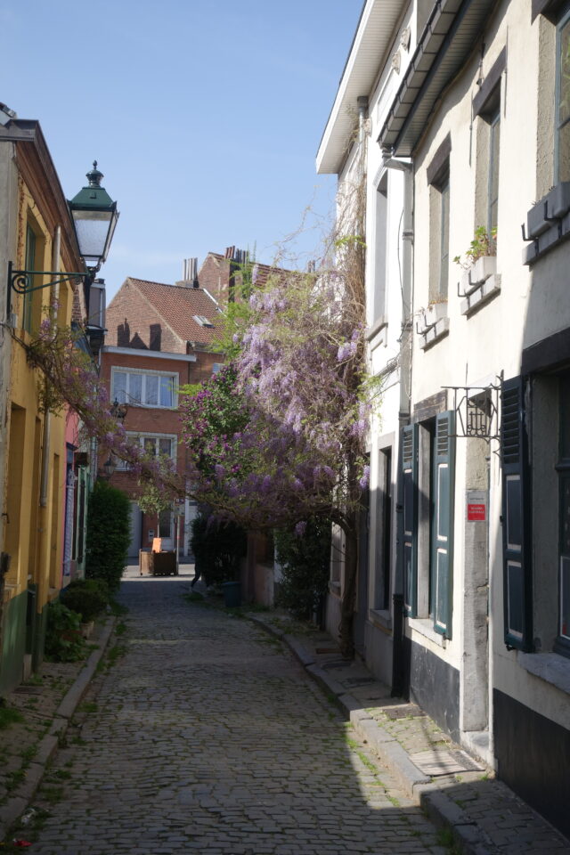 Rue Porselein
