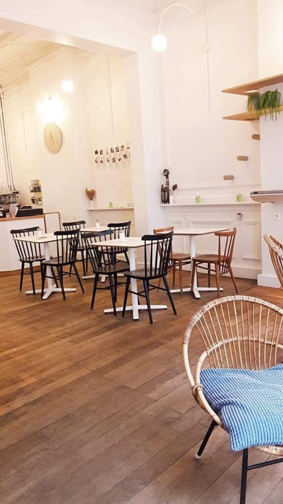 Merlix Cats Café