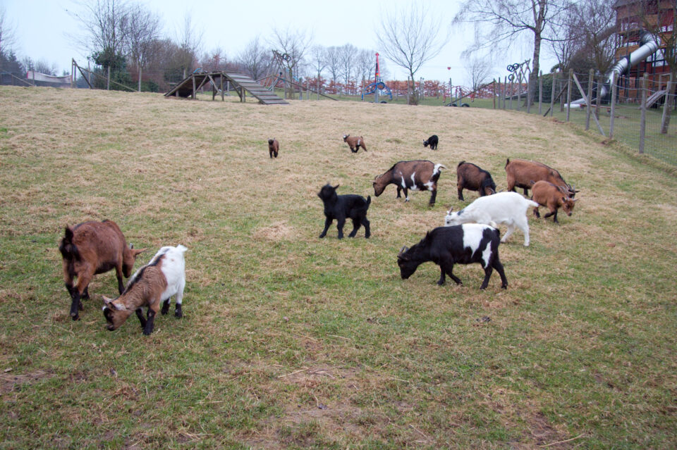 Heid des Gattes - Aywaille, Liège