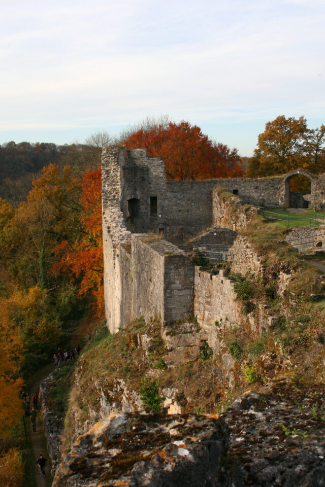 Château de Logne