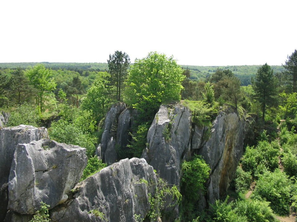 Bunker d’Hitler - Brûly-de-Pesche, Namur