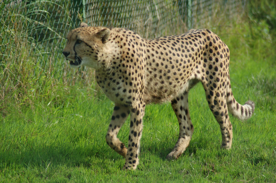 Monde Sauvage - Endroit insolite à Aywaille, en Belgique