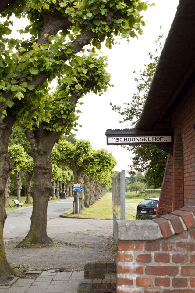 Cimetière Schoonselhof