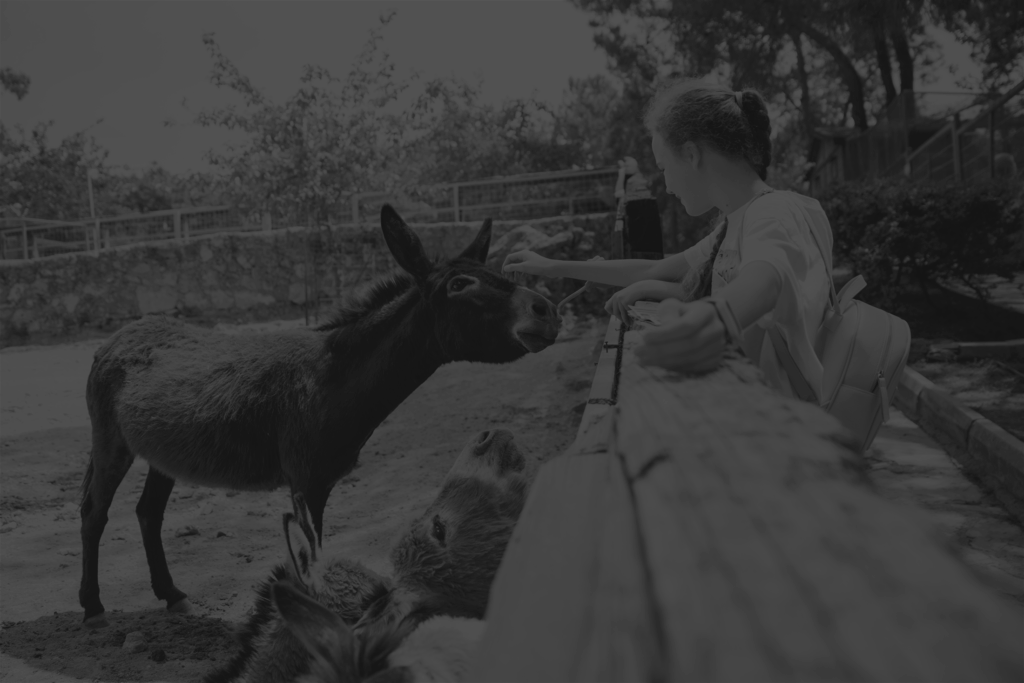 Pairi Daiza