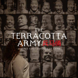 Plongez dans l’histoire de la Chine ancienne avec l’exposition « Terracotta Army » à Bruxelles