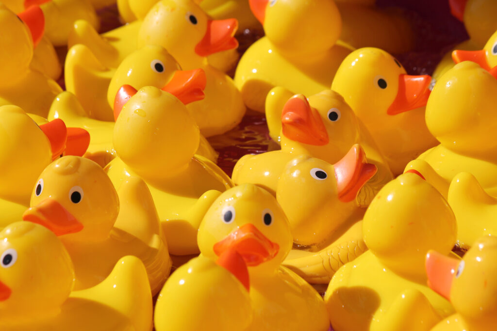 Participez à la plus grande pêche aux canards du monde près de Liège !