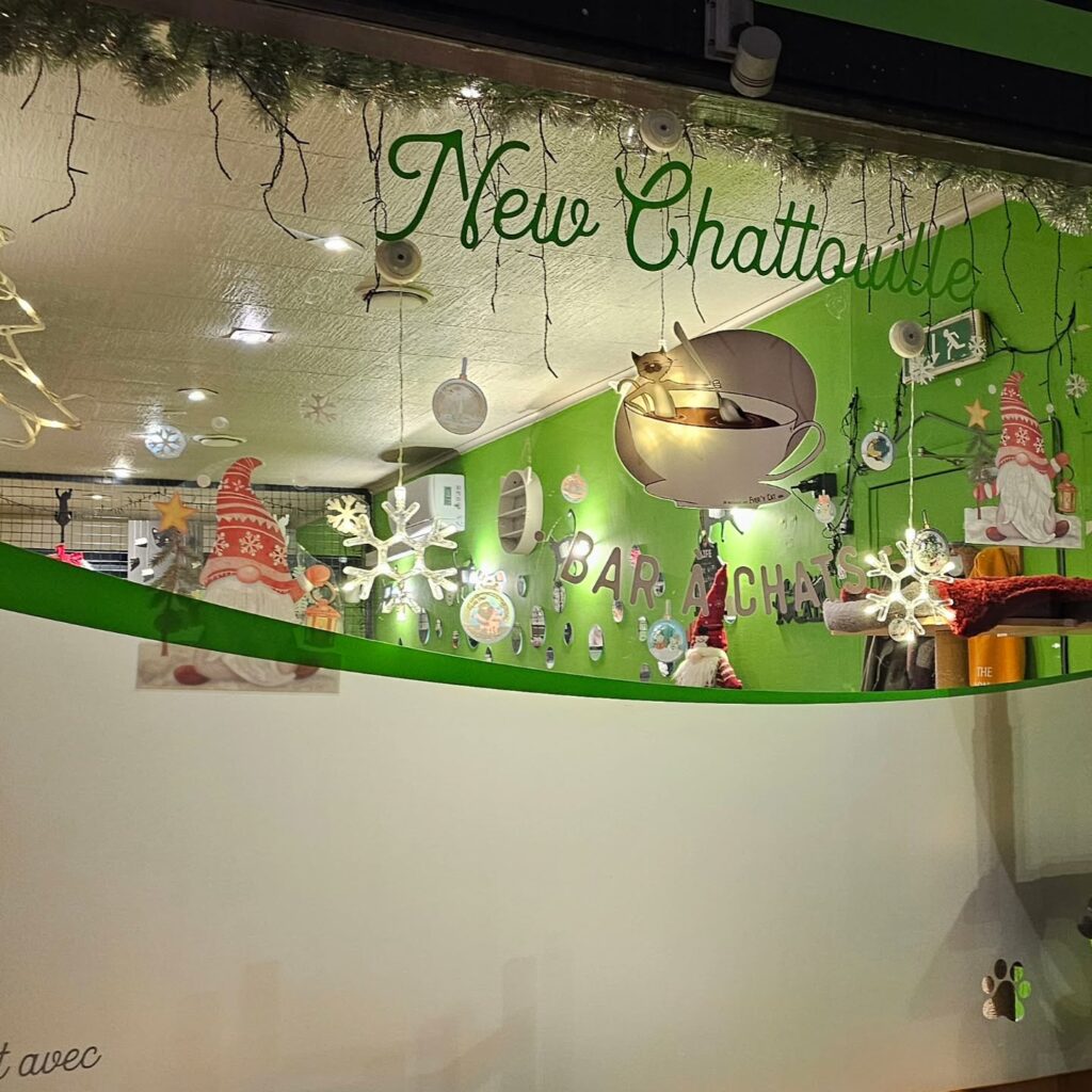 Le New Chattouille