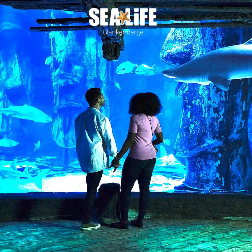 SEA LIFE