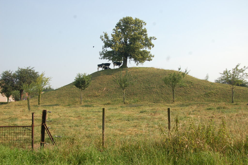 Motte féodale de&nbsp;Celles