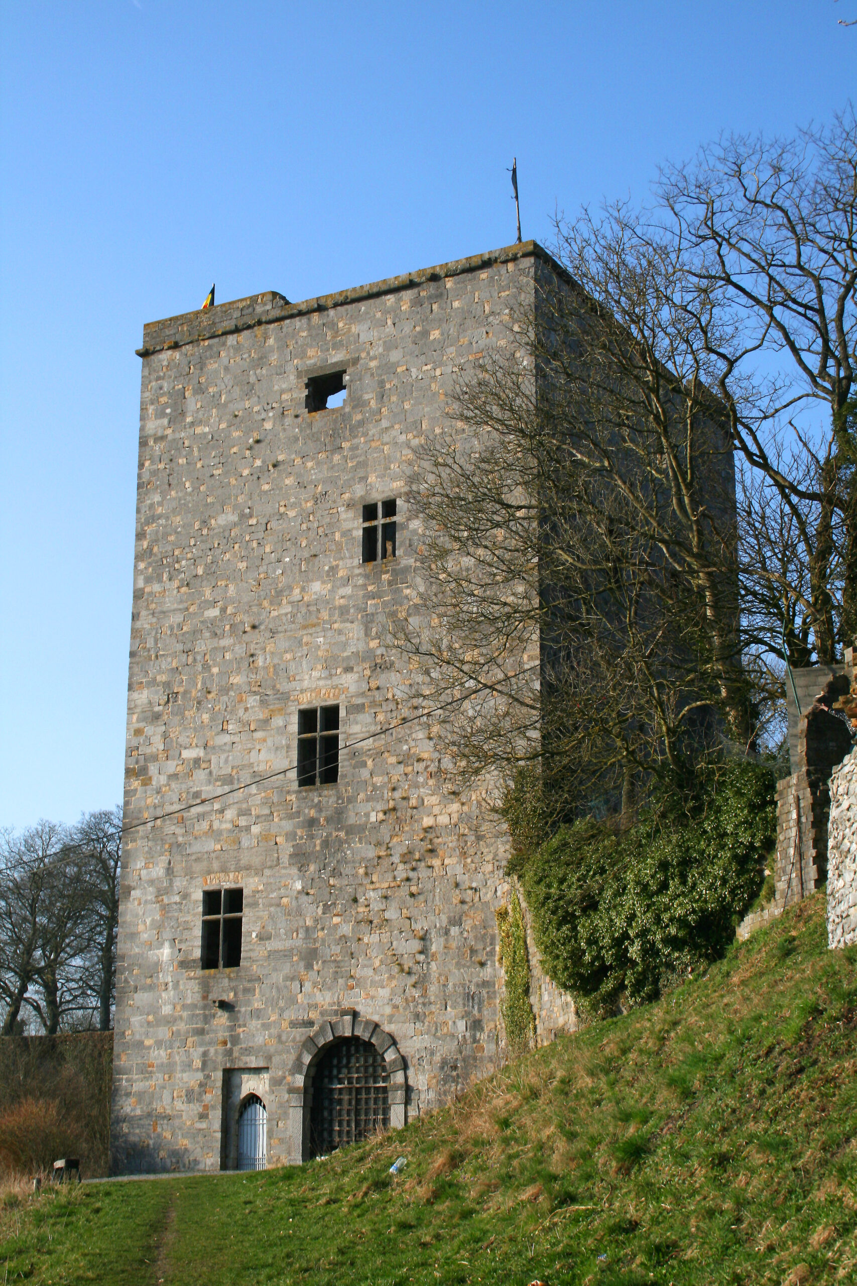 Tour Salamandre à Beaumont