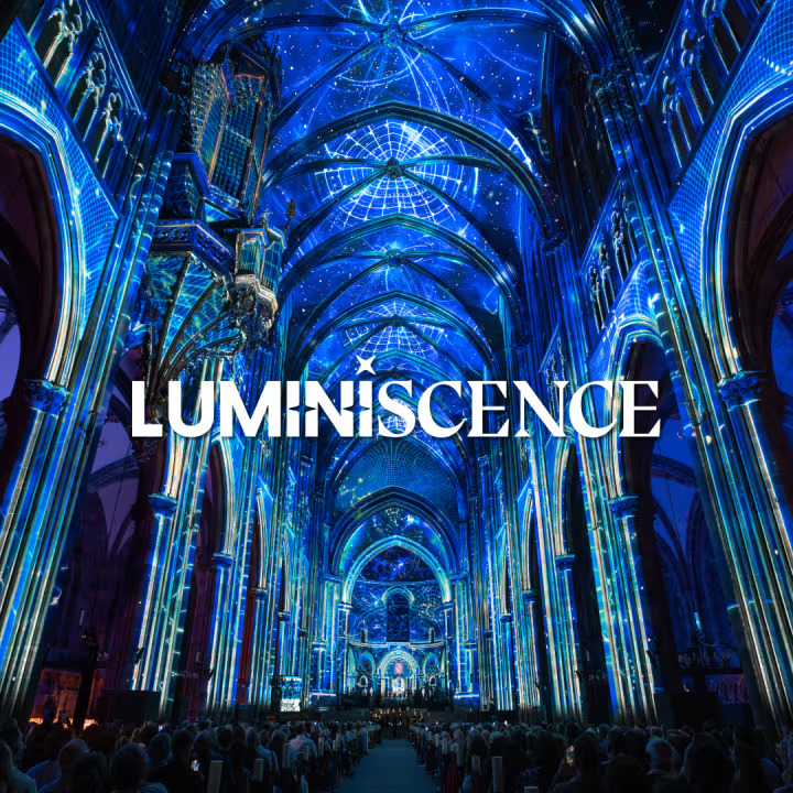 LUMINISCENCE, l’expérience immersive dans la Cathédrale de Bruxelles