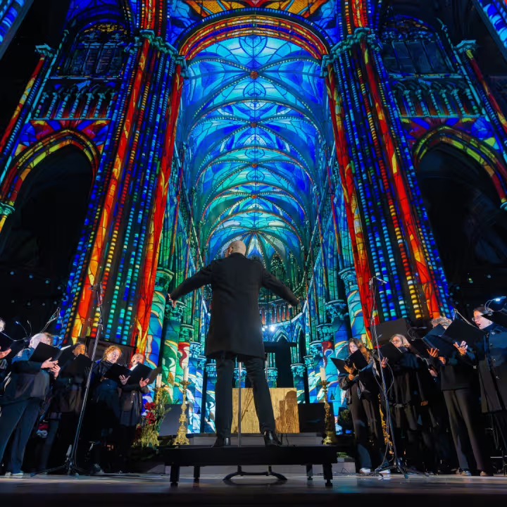 LUMINISCENCE, l’expérience immersive dans la Cathédrale de Bruxelles