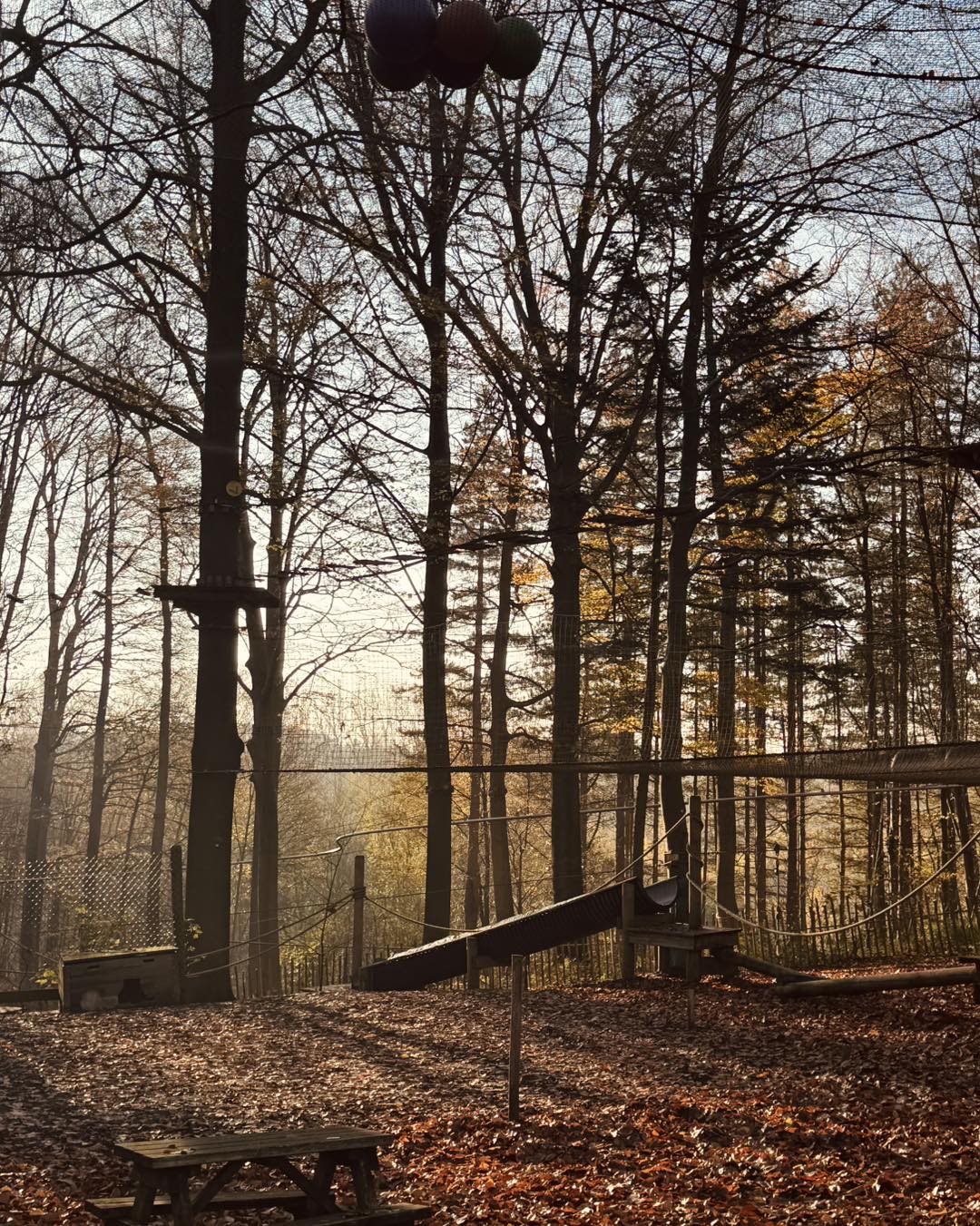 Aventure Parc à Wavre