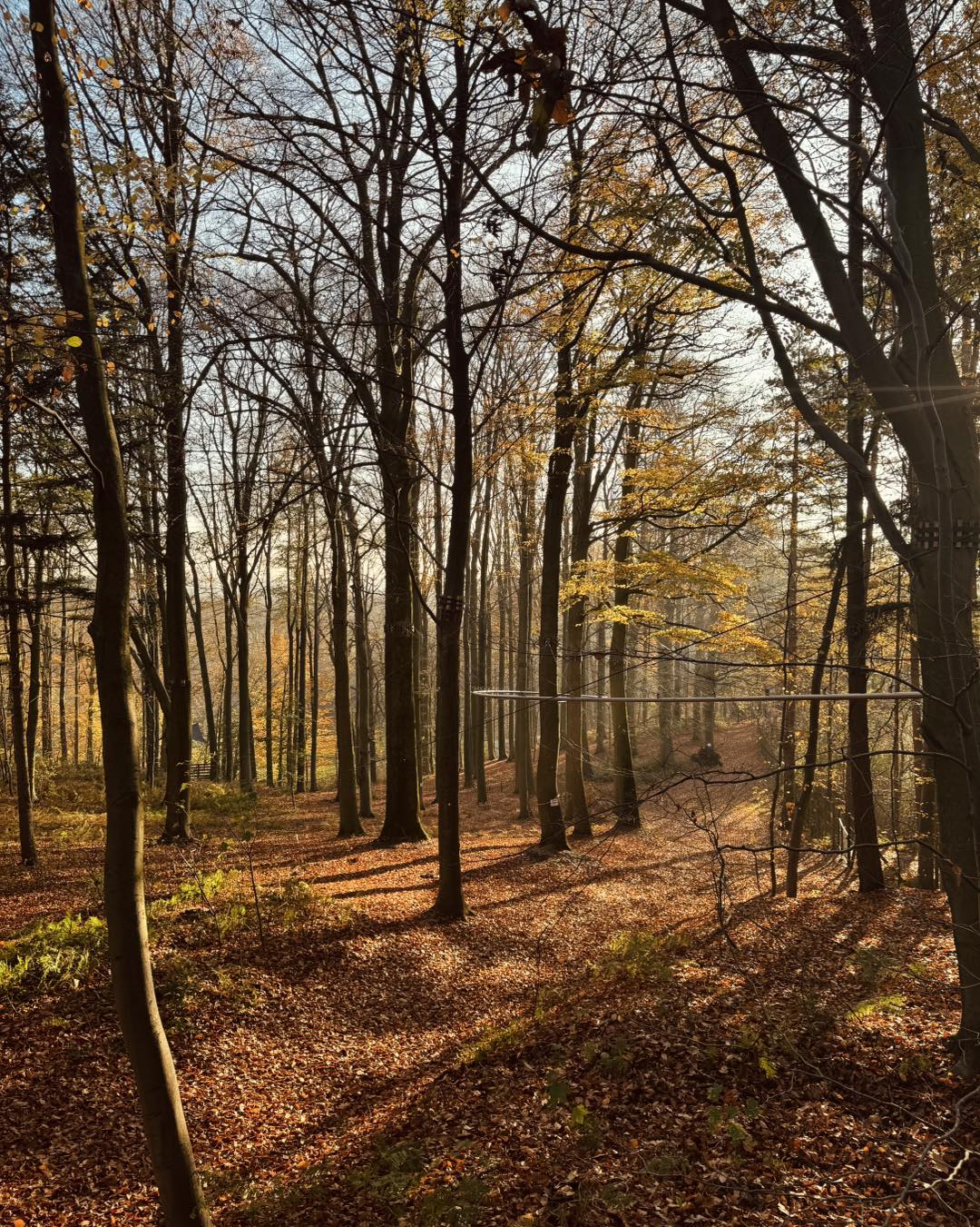 Aventure Parc à Wavre