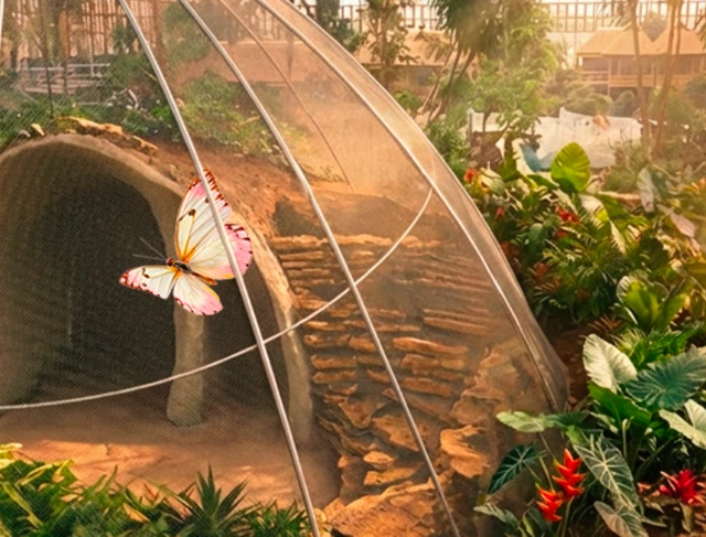 Edenya ouvre le&nbsp;7 février 2026&nbsp;: Pairi Daiza dévoile la&nbsp;plus grande serre tropicale du&nbsp;monde