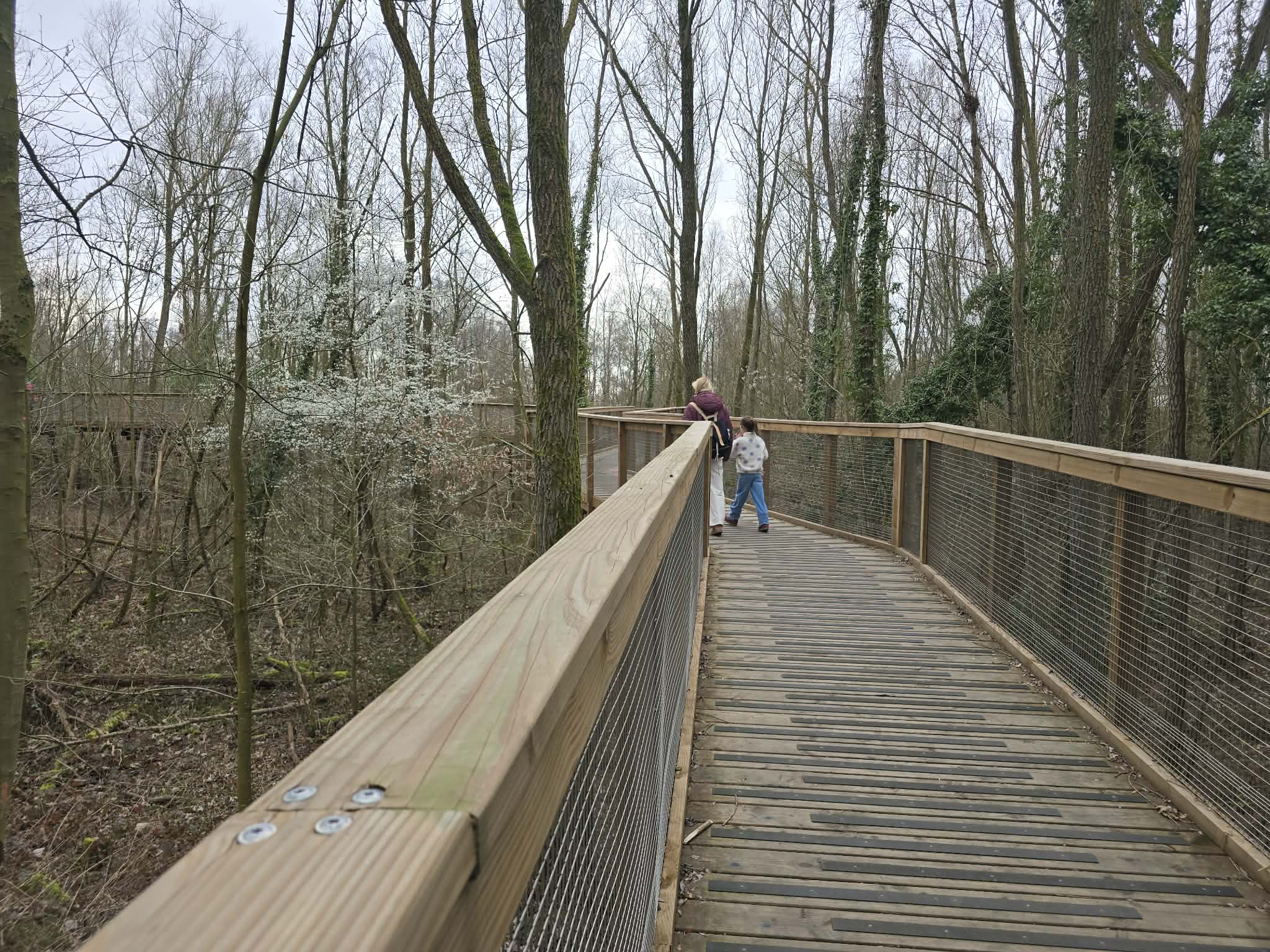 Ruines de&nbsp;l&rsquo;Hotel du&nbsp;Vrijbroekpark à Malines