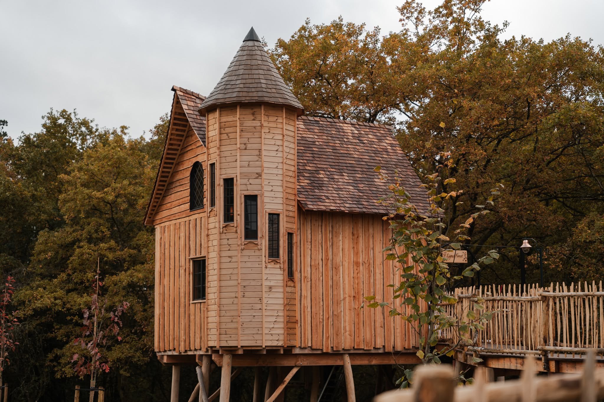 Mont des&nbsp;Pins à Durbuy