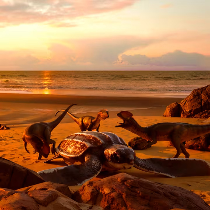 DinoVerse, une&nbsp;expérience VR immersive avec des&nbsp;dinosaures à&nbsp;Liège