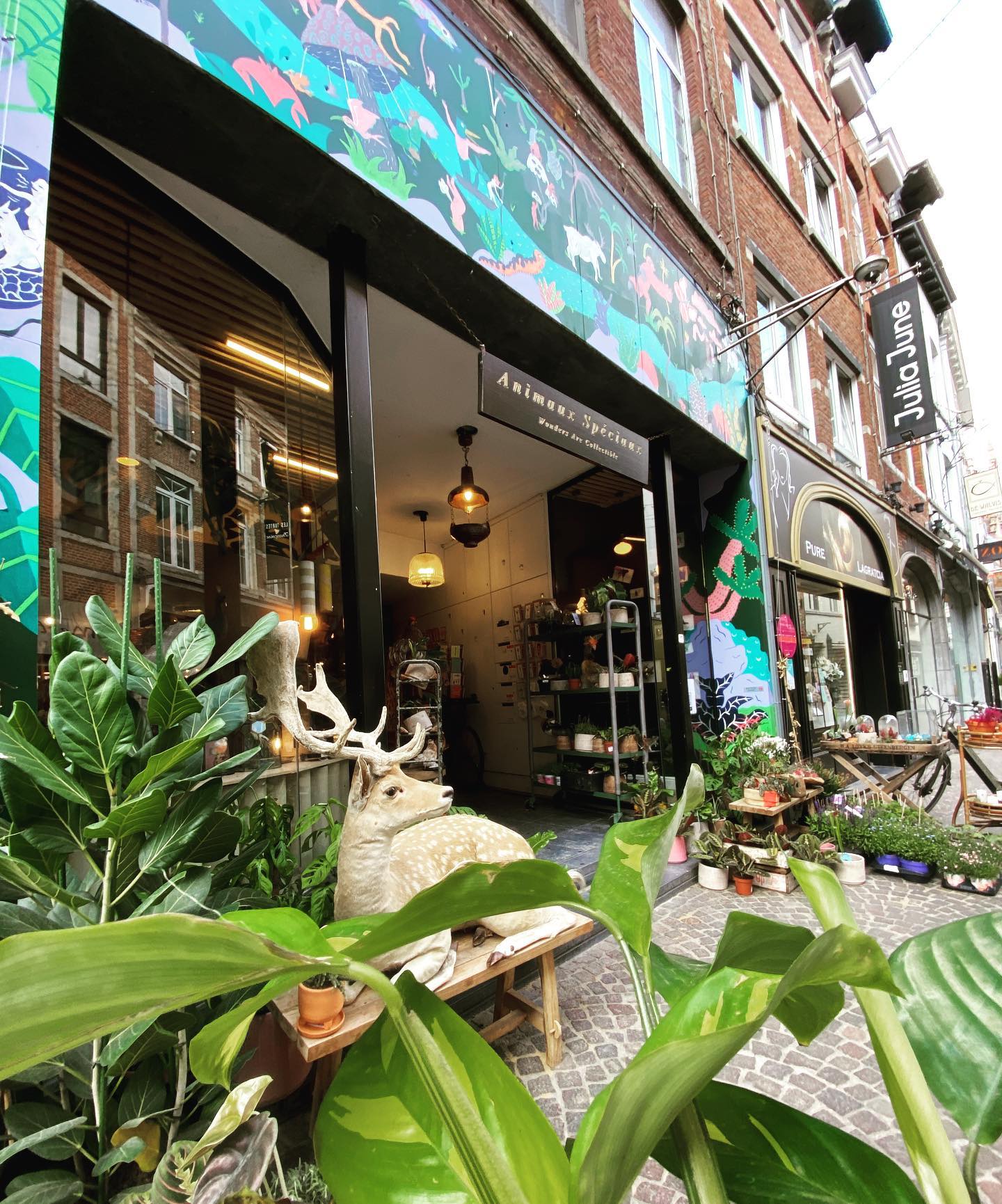 Animaux Spéciaux à Louvain