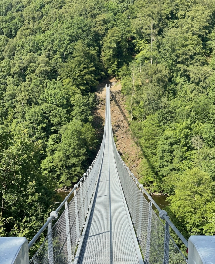 Passerelle Himalayenne