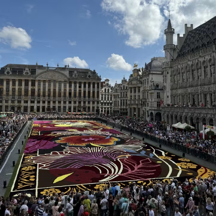 Tapis de&nbsp;Fleurs de&nbsp;Bruxelles 2026, comment vivre l’expérience VIP sur la&nbsp;Grand-Place (loin de&nbsp;la&nbsp;foule)