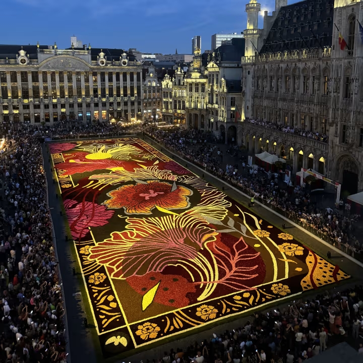 Tapis de&nbsp;Fleurs de&nbsp;Bruxelles 2026, comment vivre l’expérience VIP sur la&nbsp;Grand-Place (loin de&nbsp;la&nbsp;foule)