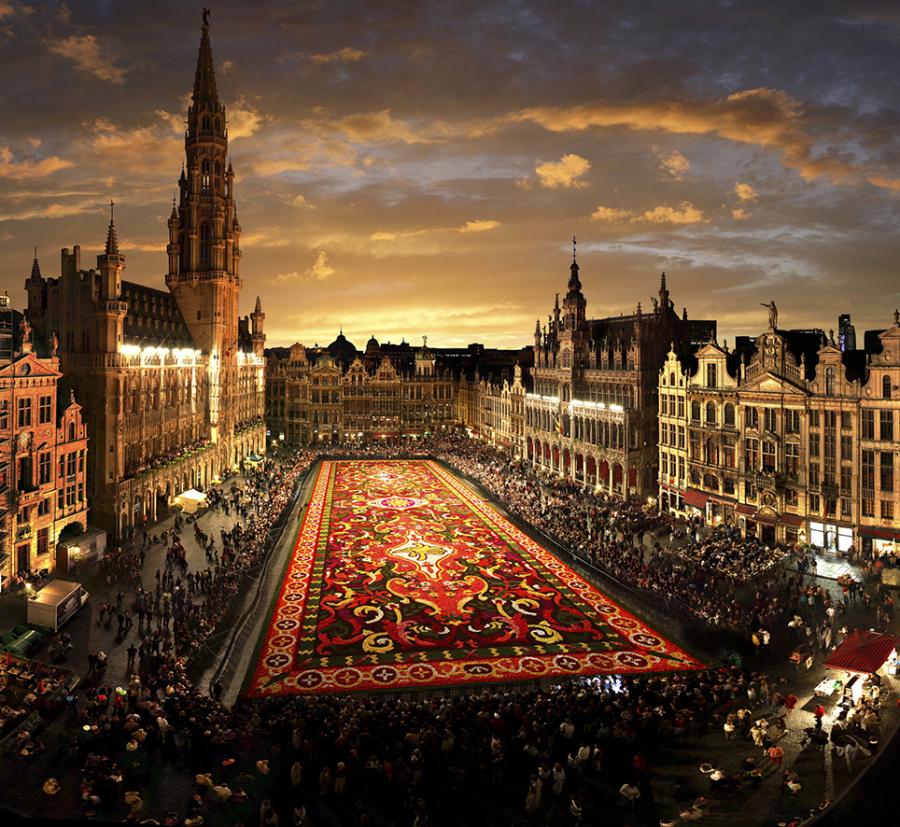 Tapis de&nbsp;Fleurs de&nbsp;Bruxelles 2026&nbsp;: toutes les infos pour préparer votre visite