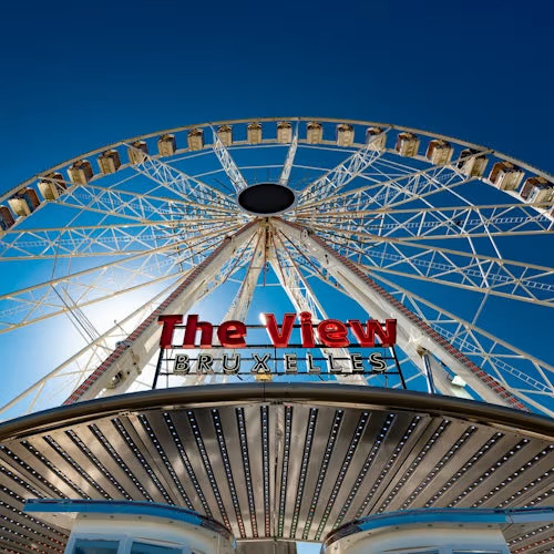 The View