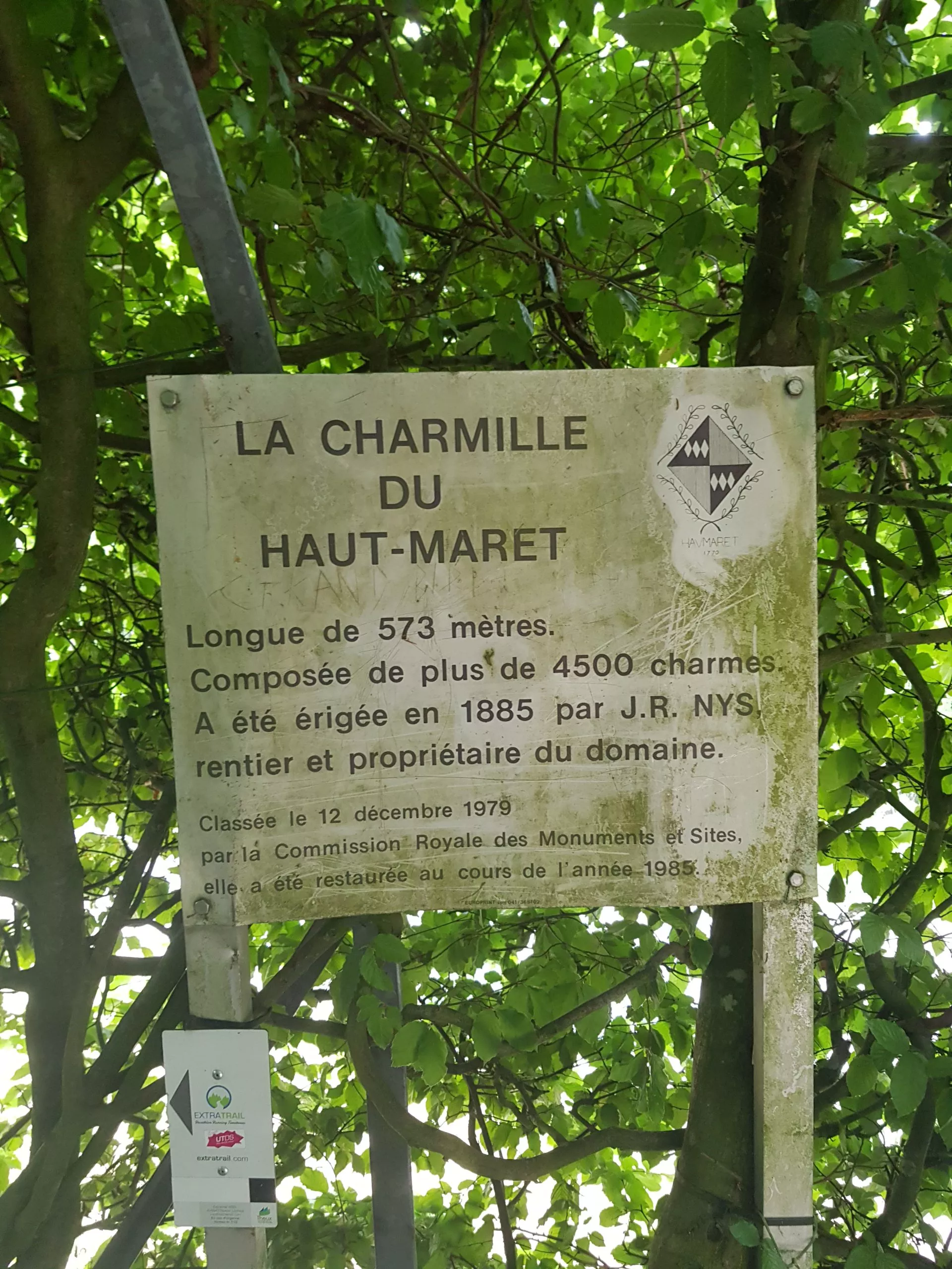 Charmille du Haut-Marêt à Theux