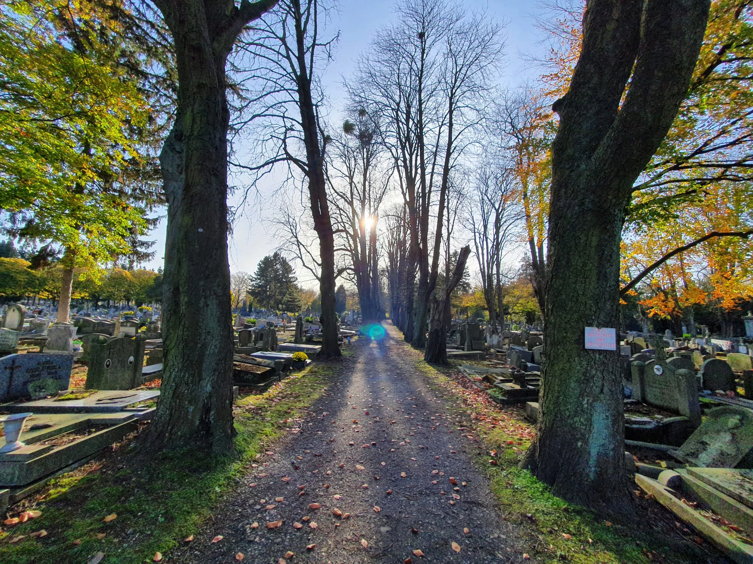 Cimetière de Robermont - Endroit insolite à Liège, en Belgique