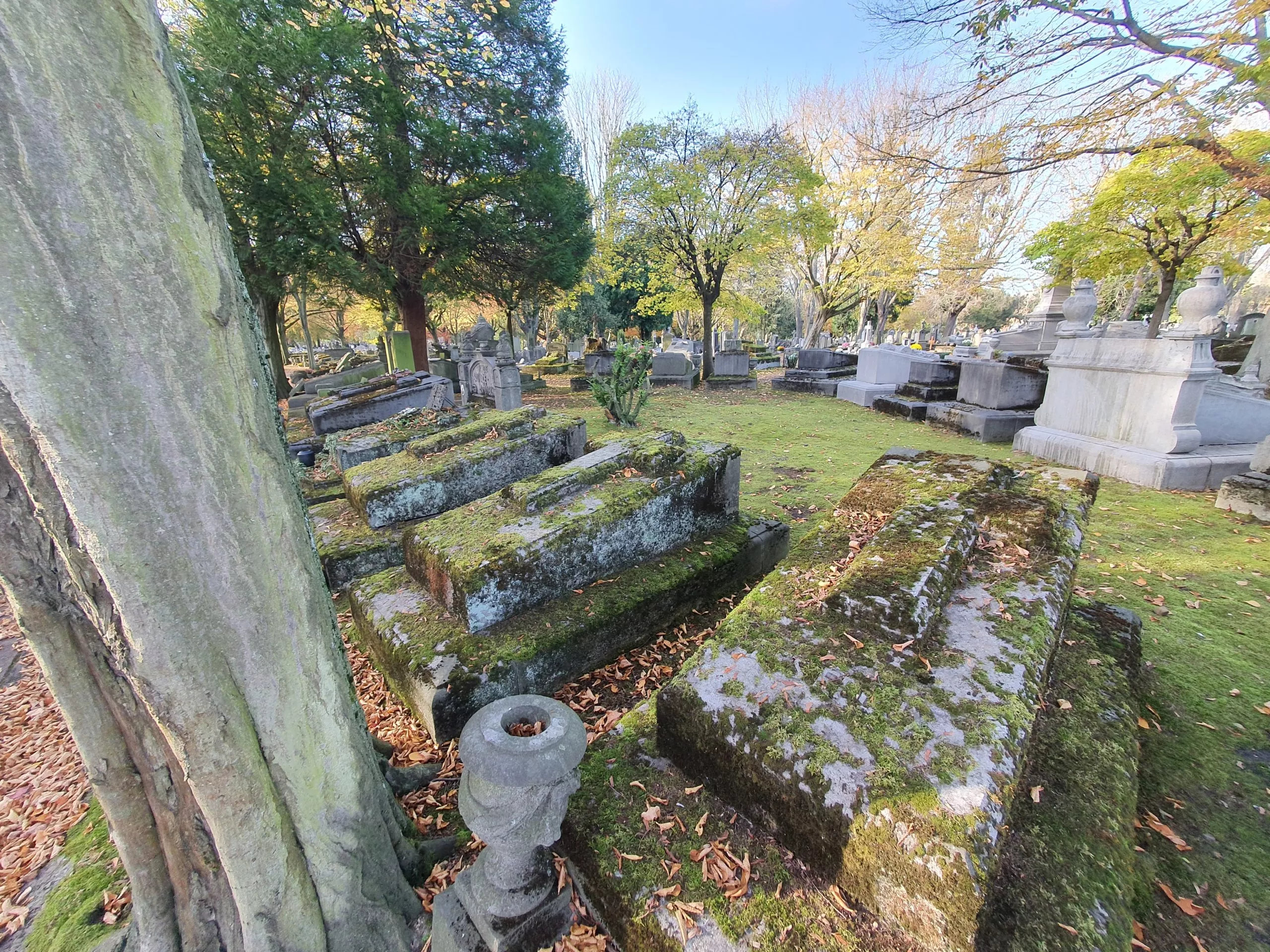 Cimetière de Robermont - Endroit insolite à Liège, en Belgique