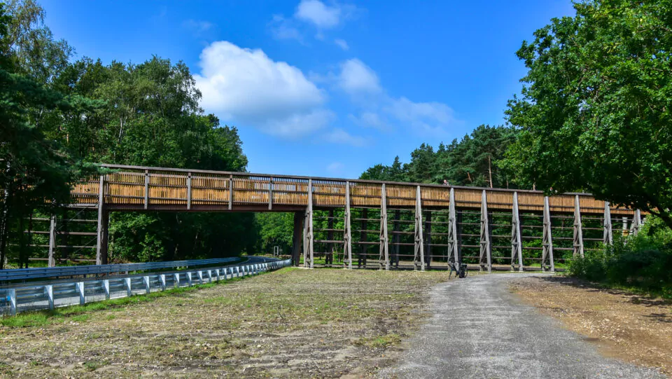 Fietsen door de Heide