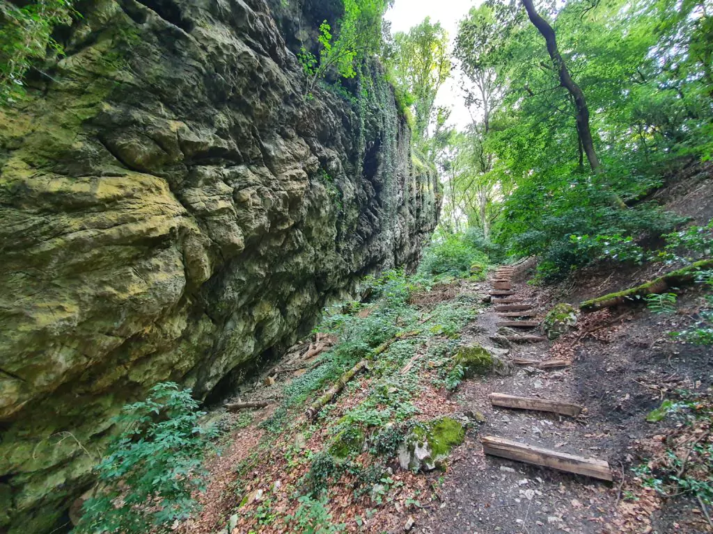 Grottes Schmerling