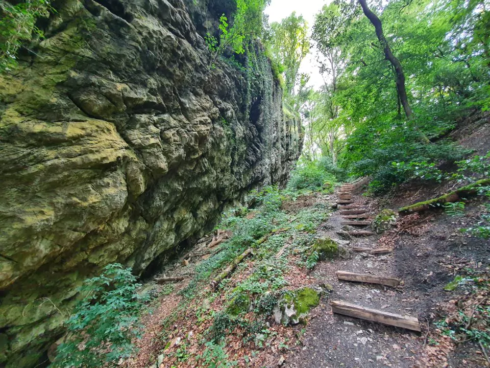 Terril du Hénâ - Awirs, Liège