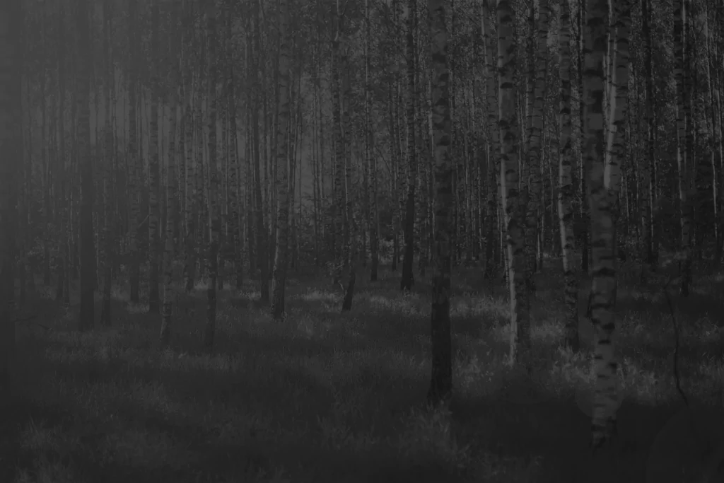 Noir Flohay