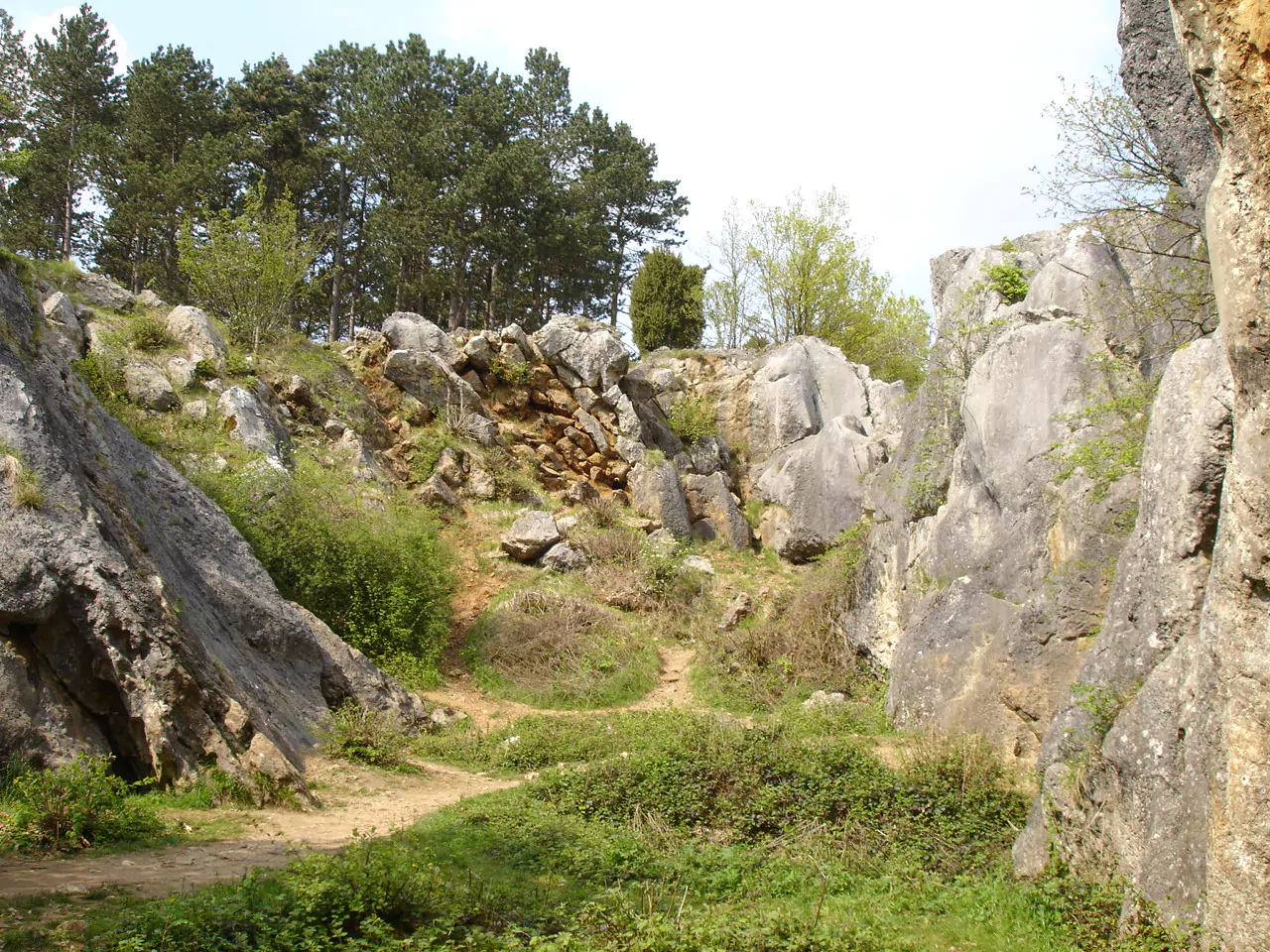 Fondry des Chiens à Nismes